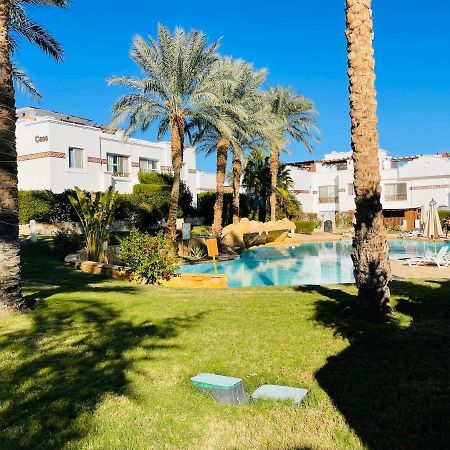 Sunterra Sharm Appartamento Esterno foto